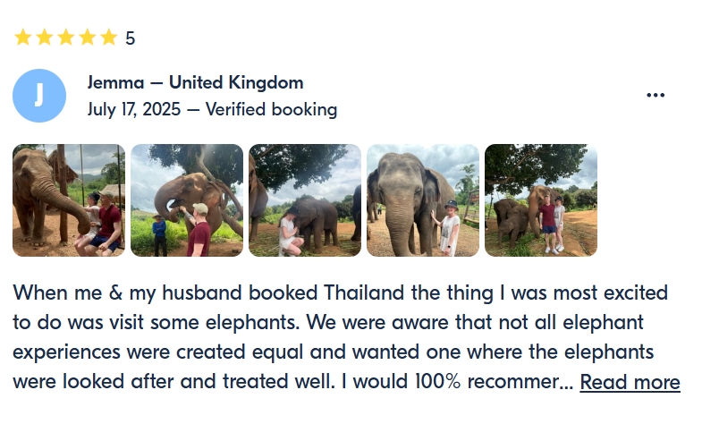 pon elephpant chiangmai thailand reviews